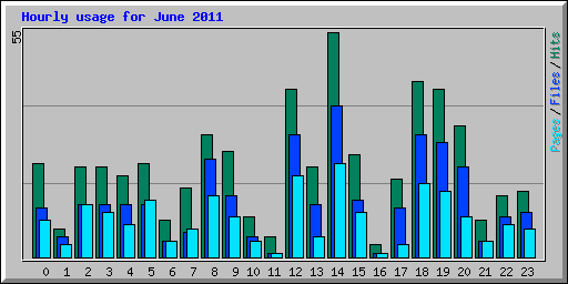 Hourly usage for June 2011